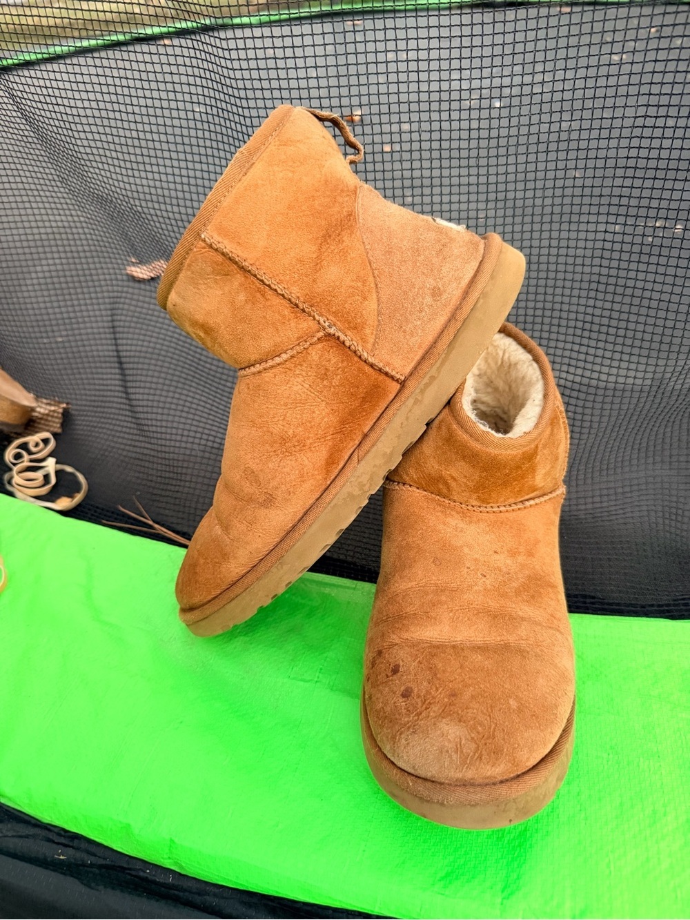 UGG womens Classic Mini Boots | Chestnut | 1002072 - Picture 8 of 9